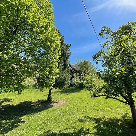Ferienhuette Bosic Villa Baierdorf Buitenkant foto