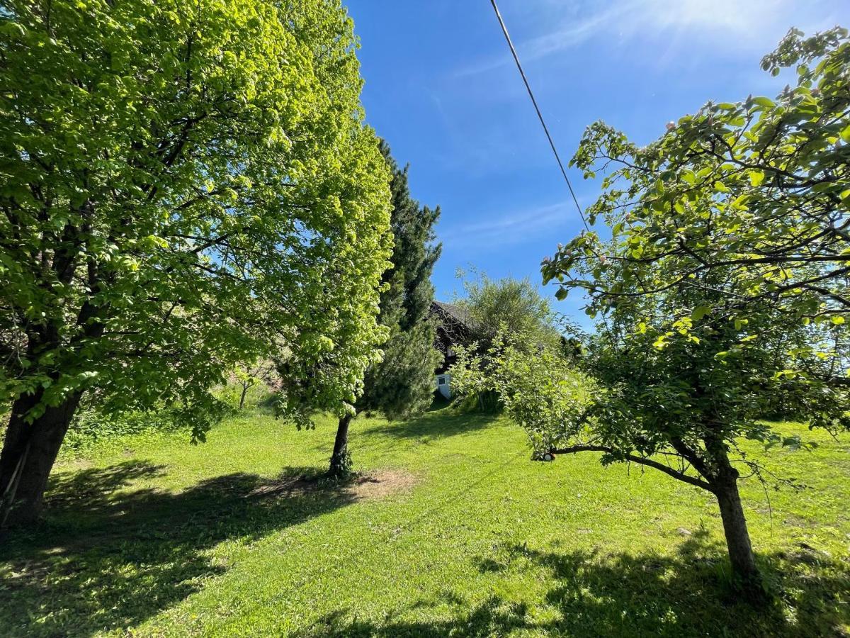 Ferienhuette Bosic Villa Baierdorf Buitenkant foto