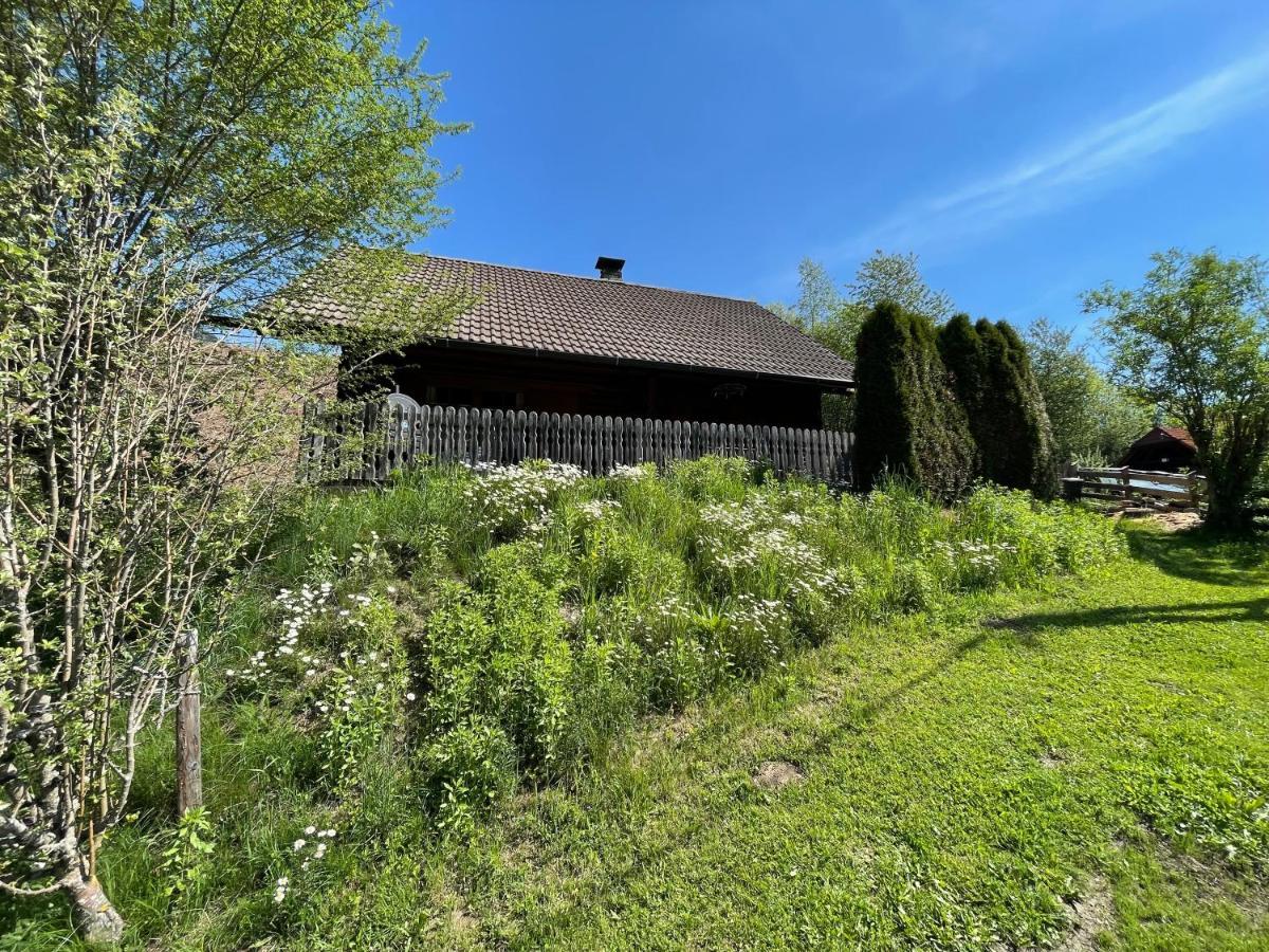 Ferienhuette Bosic Villa Baierdorf Buitenkant foto