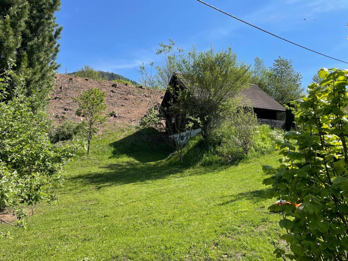 Ferienhuette Bosic Villa Baierdorf Buitenkant foto